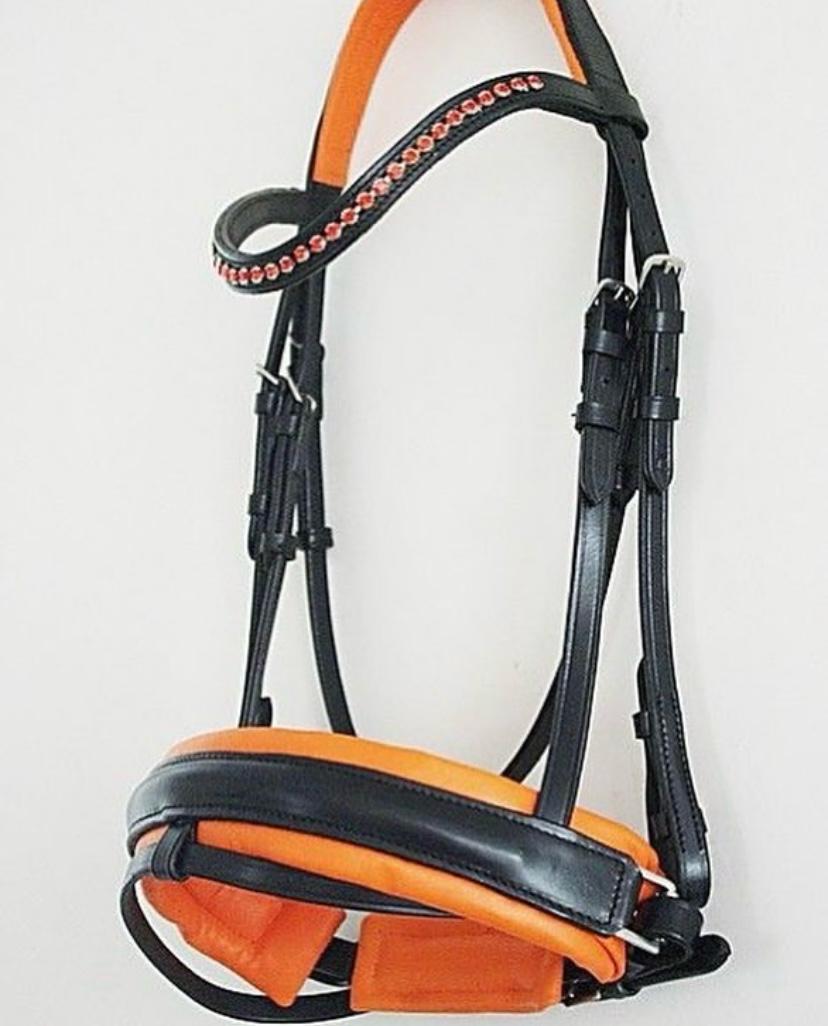BRIDLES