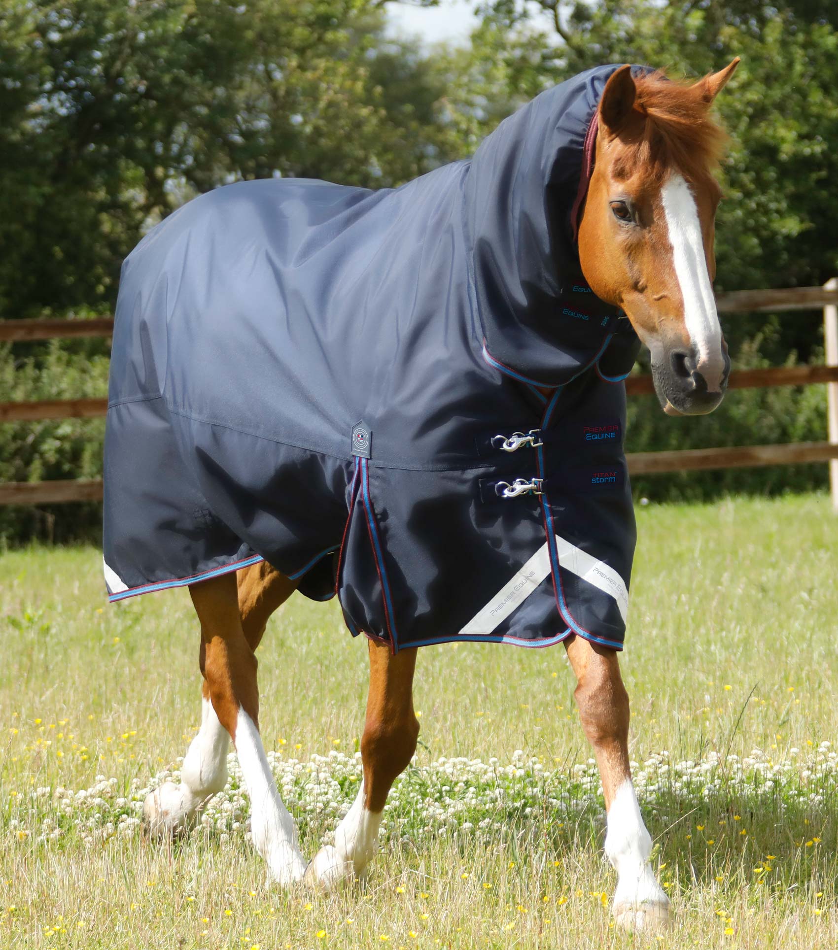 Horse Rugs