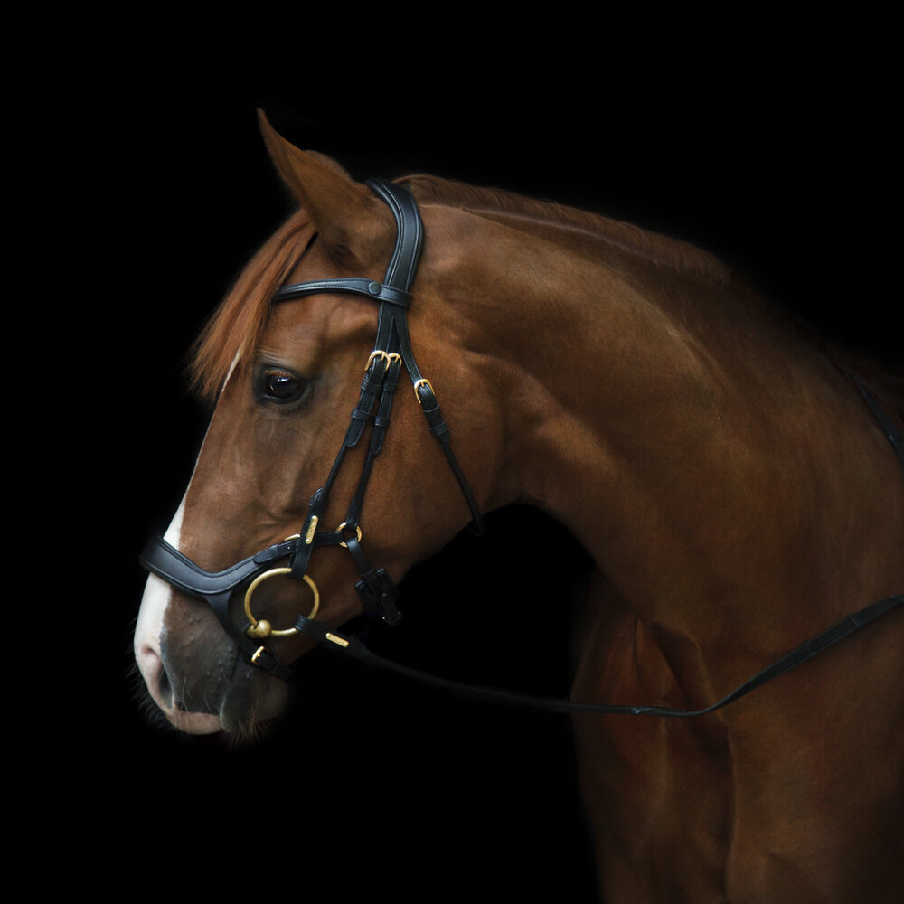 Premium Saddlery